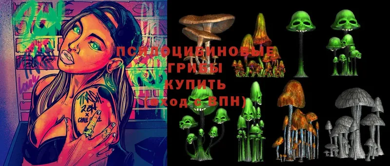 где можно купить наркотик  Заинск  Псилоцибиновые грибы Magic Shrooms 